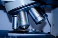 Thumb microscope 275984 960 720