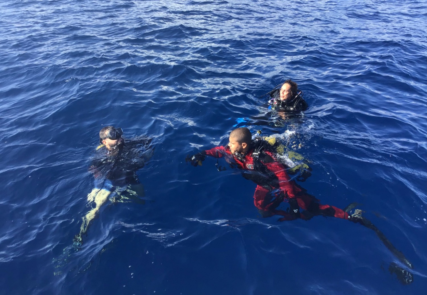 Pesquisa de campo contou com mergulhos em alto mar no litoral sergipano